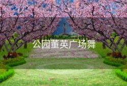 公园董英广场舞