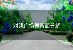 对跳广场舞背面分解