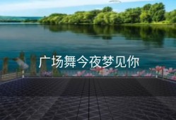 广场舞今夜梦见你