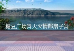 糖豆广场舞火火情郎扇子舞