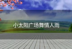 小太阳广场舞情人雨