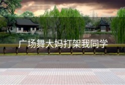 广场舞大妈打架我同学