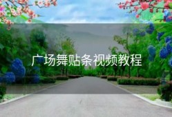 广场舞贴条视频教程