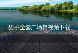 男子全套广场舞视频下载