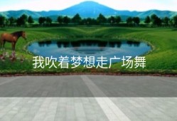 我吹着梦想走广场舞