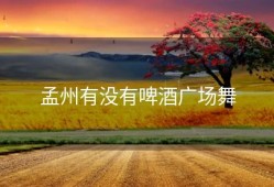 孟州有没有啤酒广场舞