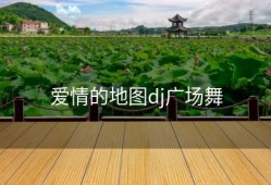 爱情的地图dj广场舞