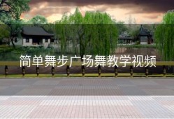 简单舞步广场舞教学视频