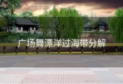 广场舞漂洋过海带分解