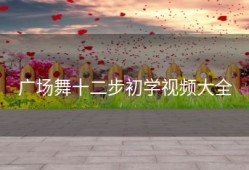 广场舞十二步初学视频大全