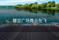 糠豆广场舞云在飞