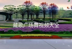 藏歌广场舞视频大全