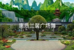 惠质兰馨广场舞