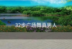 32步广场舞真男人