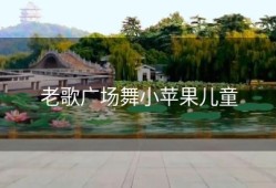 老歌广场舞小苹果儿童