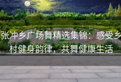 张冲乡广场舞精选集锦：感受乡村健身韵律，共舞健康生活