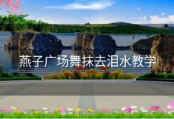 燕子广场舞抹去泪水教学