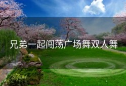 兄弟一起闯荡广场舞双人舞