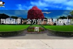 舞动健康：全方位广场舞教学指南