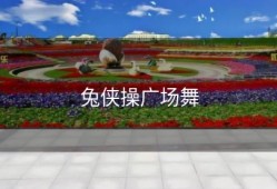 兔侠操广场舞