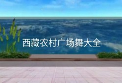 西藏农村广场舞大全