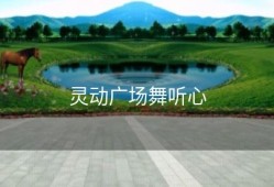 灵动广场舞听心