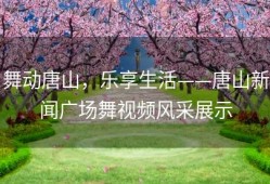 舞动唐山，乐享生活——唐山新闻广场舞视频风采展示