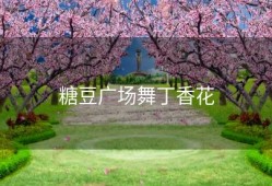 糖豆广场舞丁香花