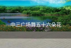 中三广场舞五十六朵花