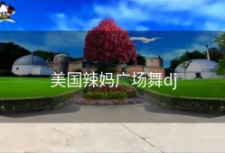 美国辣妈广场舞dj