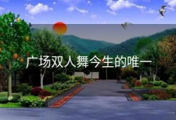 广场双人舞今生的唯一