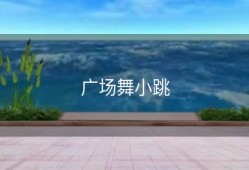 广场舞小跳