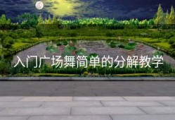入门广场舞简单的分解教学