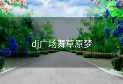 dj广场舞草原梦