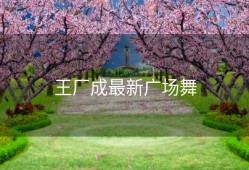 王厂成最新广场舞