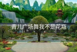 青儿广场舞我不是花瓶