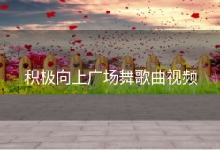 积极向上广场舞歌曲视频