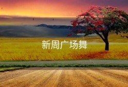 新周广场舞