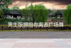 男生版拥抱你离去广场舞