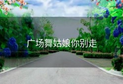 广场舞姑娘你别走