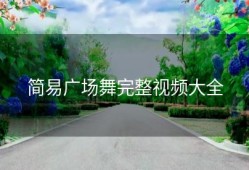 简易广场舞完整视频大全