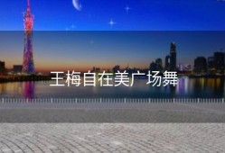 王梅自在美广场舞