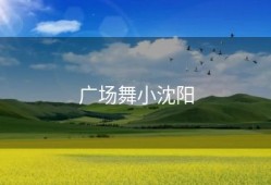 广场舞小沈阳
