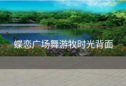 蝶恋广场舞游牧时光背面