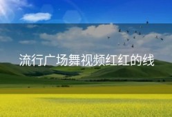 流行广场舞视频红红的线