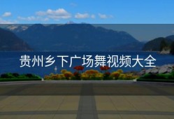 贵州乡下广场舞视频大全