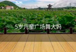 5岁儿童广场舞大妈