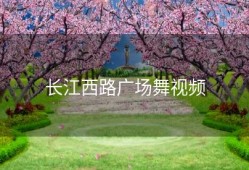 长江西路广场舞视频