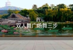 双人舞广场舞三步