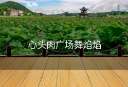 心头肉广场舞焰焰